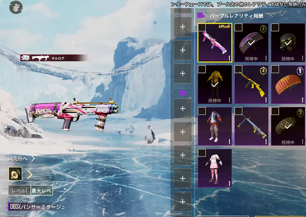 DBSのレベルアップスキン