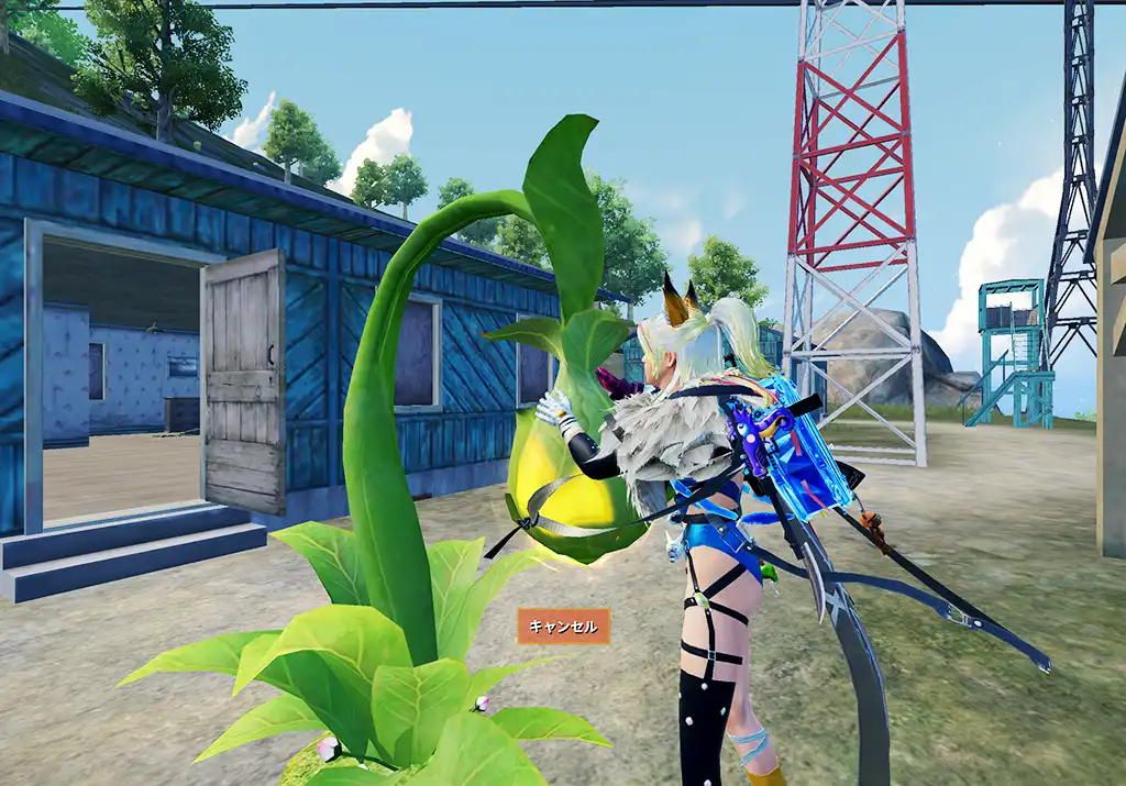 他のプレイヤーの実を収穫する