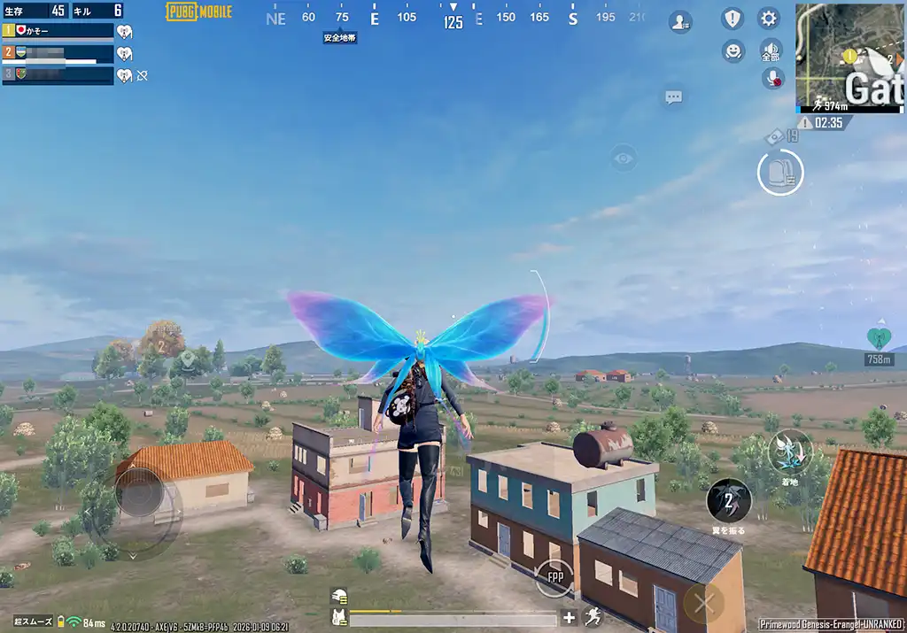 羽がやたら落ちている