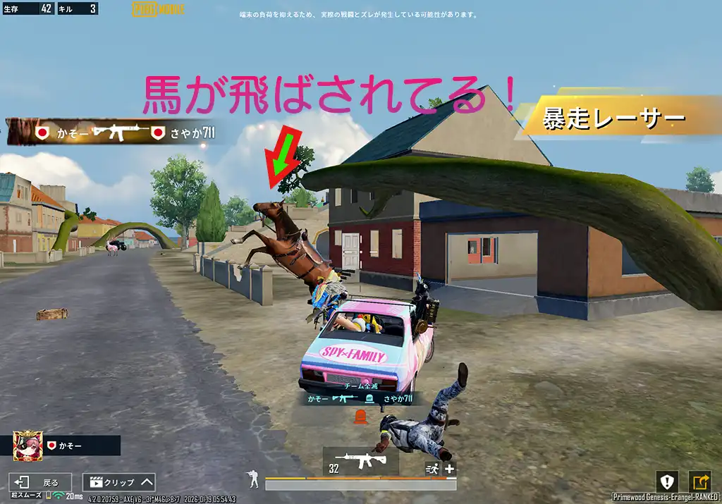 車にぶつけられた馬