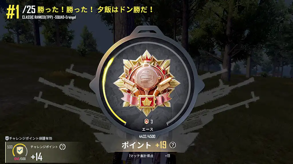 プライムアイで遊んでいただけでドン勝