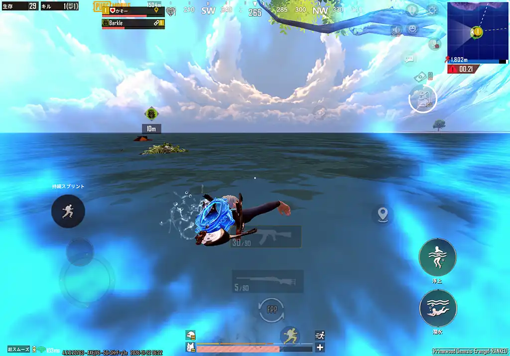 「Barkle」と泳ぐ