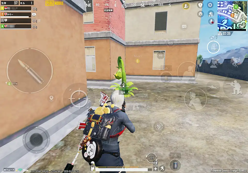 今日初めて収穫