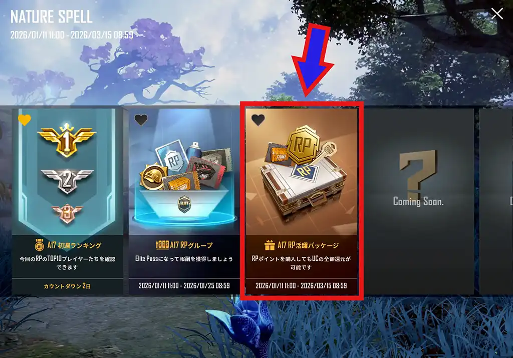 RP活躍パッケージがある