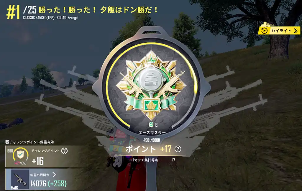 ドン勝したもののレートが17しか上がらす