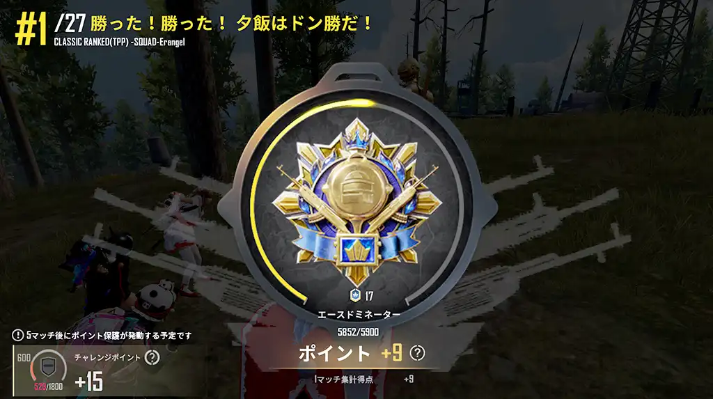 ドン勝してレートが9上がる