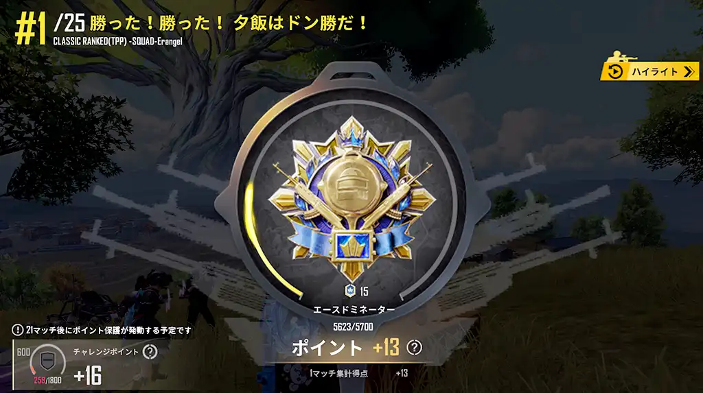 ドン勝してレートは13上がる