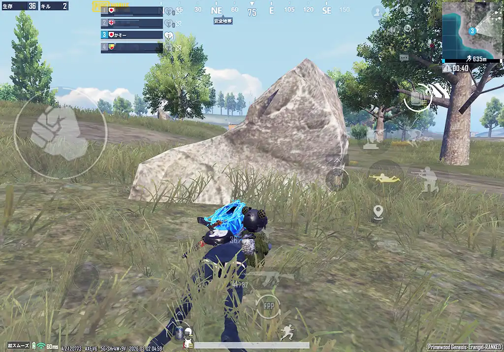 岩に隠れて芋る