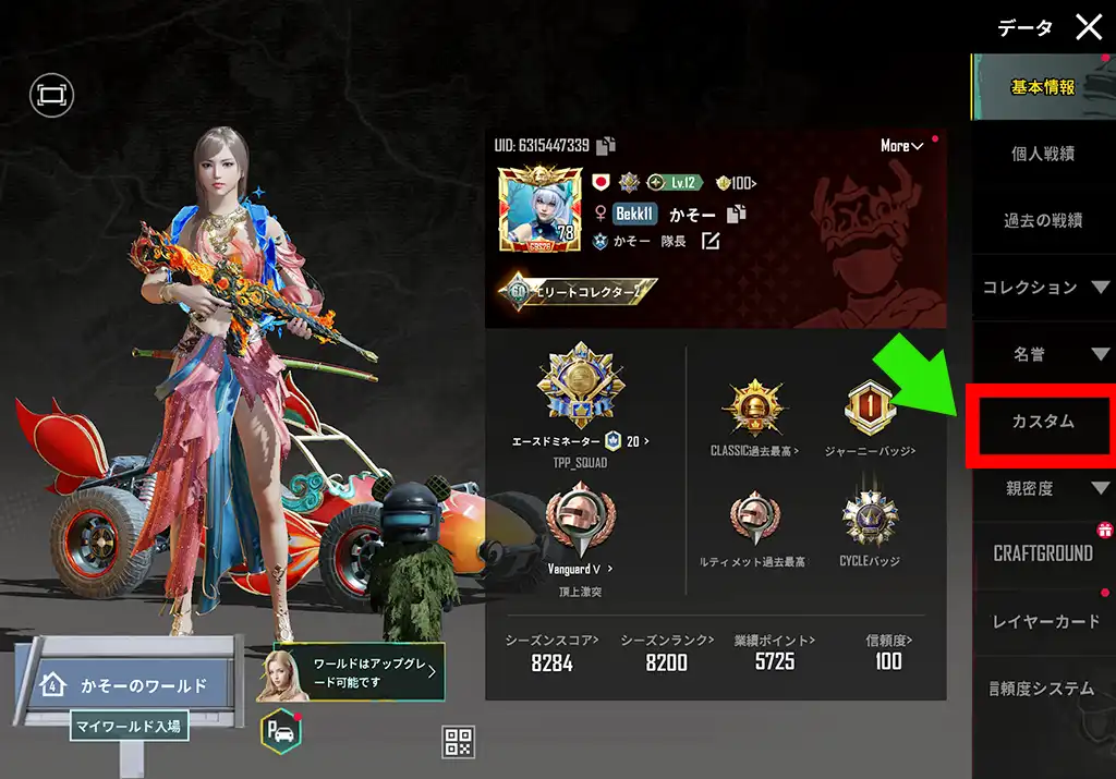 プレイヤーの情報が表示される