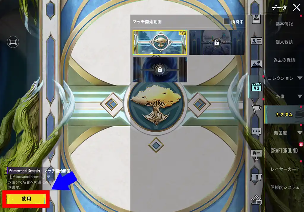 マッチ開始動画の設定画面