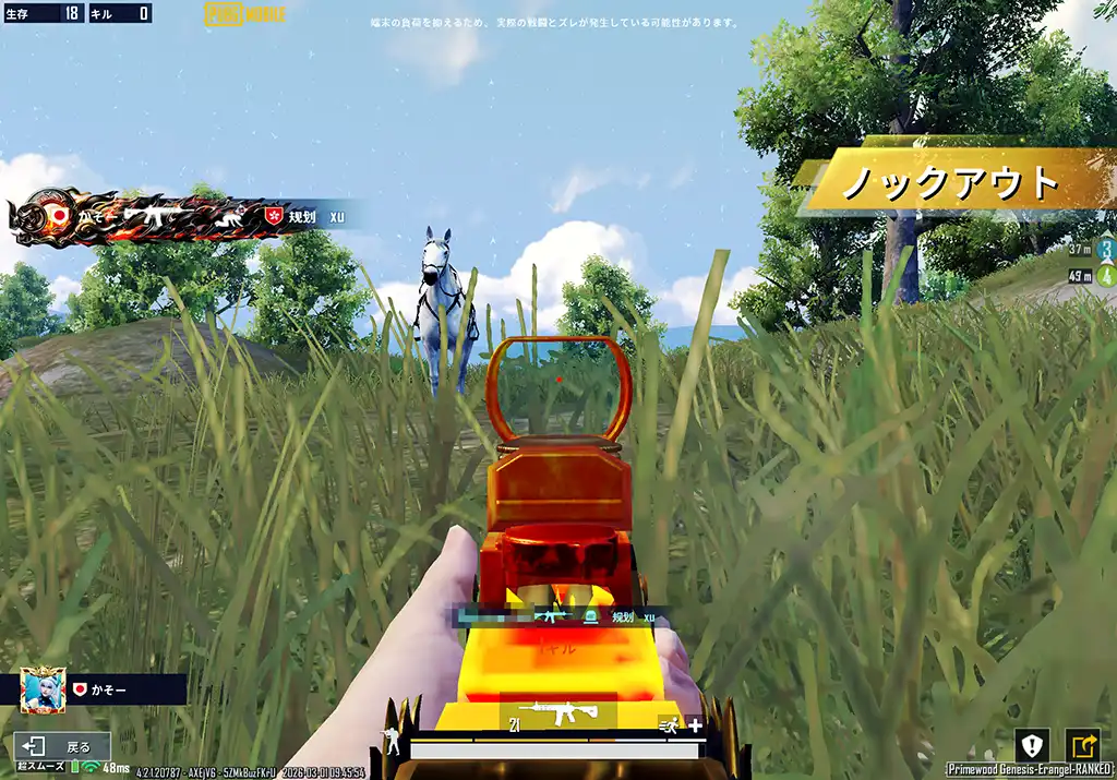 馬に乗って来て敵を倒す